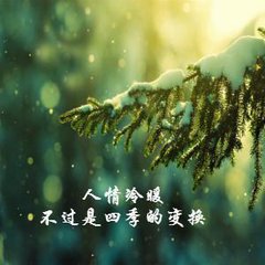 人情冷暖不過是四季的變換