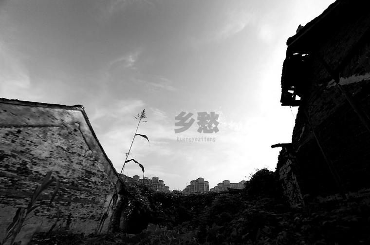 鄉(xiāng)愁