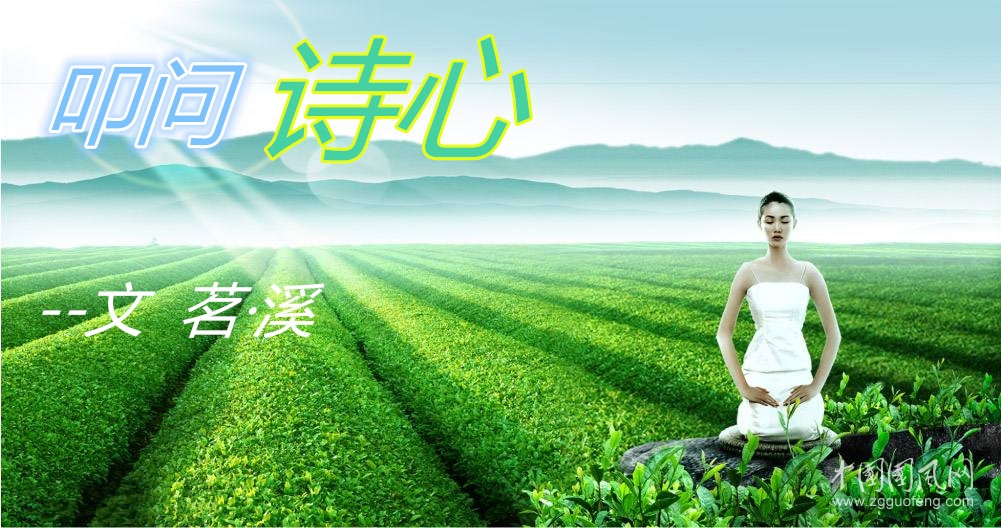 叩問(wèn)·詩(shī)心（ 文/茗·溪）