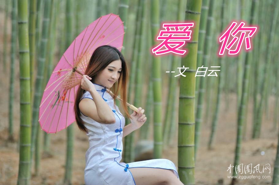 愛  你 （文  白云）