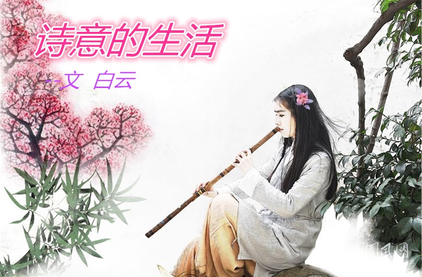 詩意的生活（文  白云）
