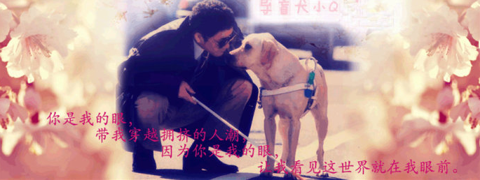  無(wú)聲的尊重