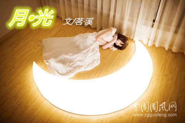  月?光  （文/茗·溪）