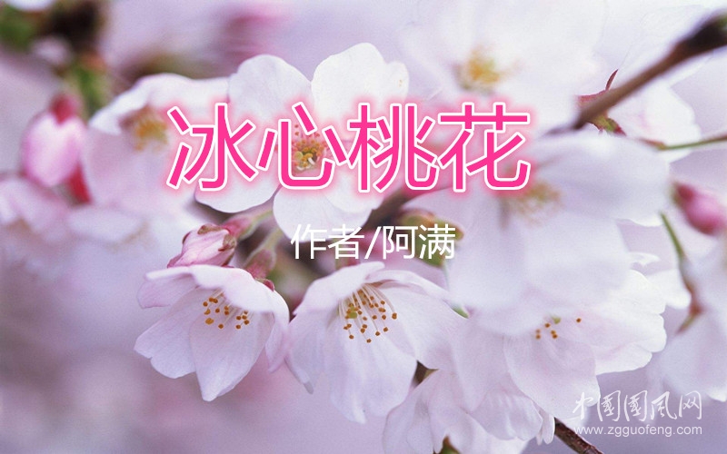 冰心桃花（作者/阿滿(mǎn)）
