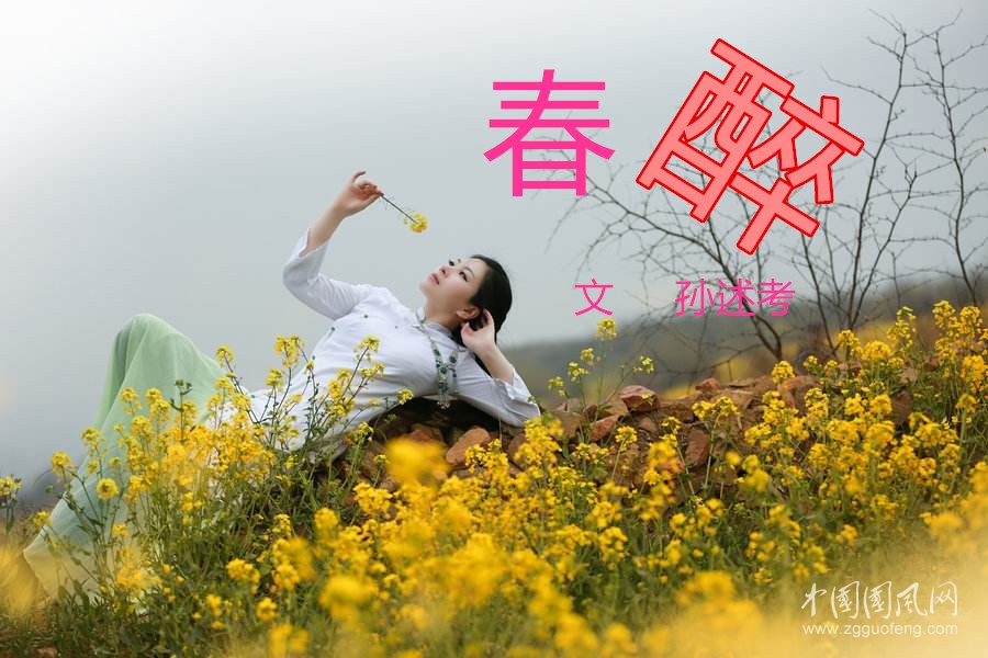 春醉（文 孫述考 ）