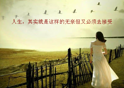 無(wú)奈的人生