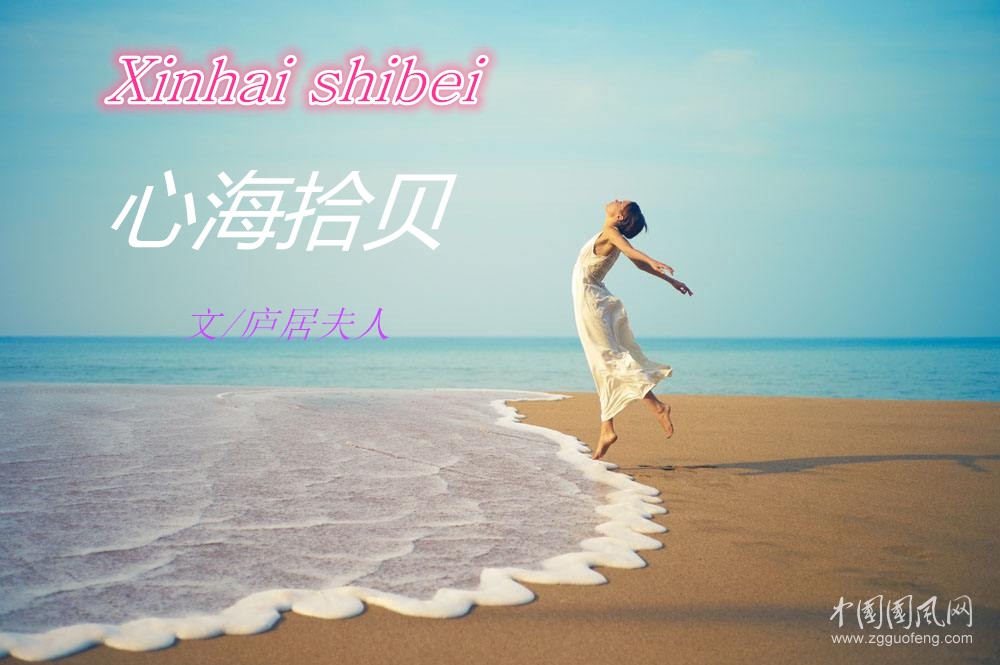 心海拾貝（文/廬居夫人）