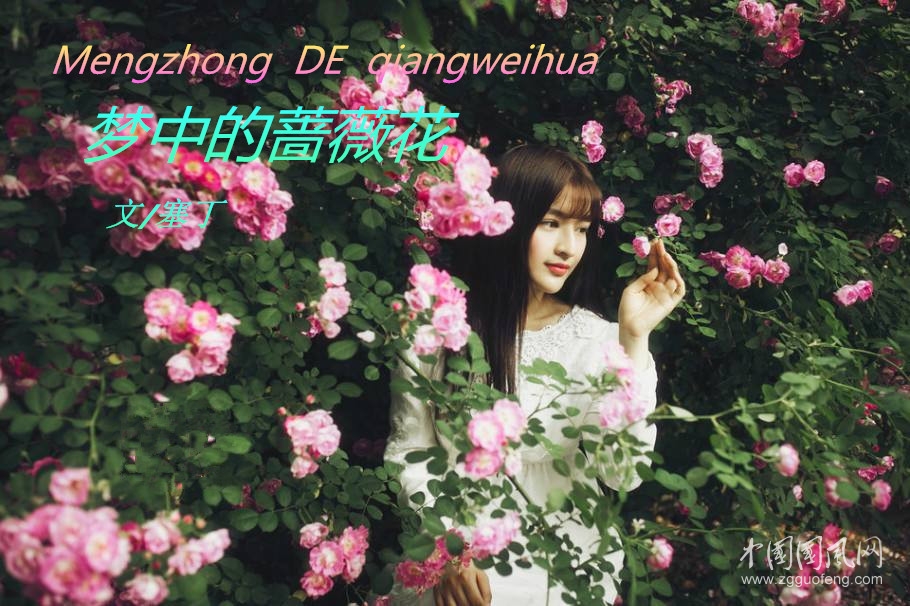 夢中的薔薇花 （文/塞?。? style=