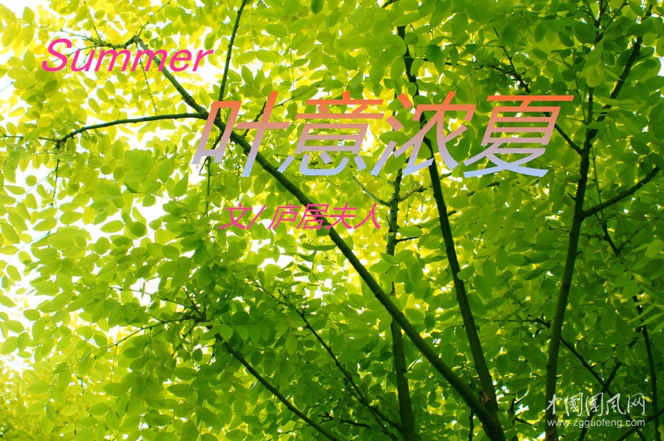 葉意濃夏(文  廬居夫人）