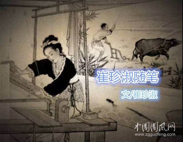 崔珍淑隨筆（文/崔珍淑）