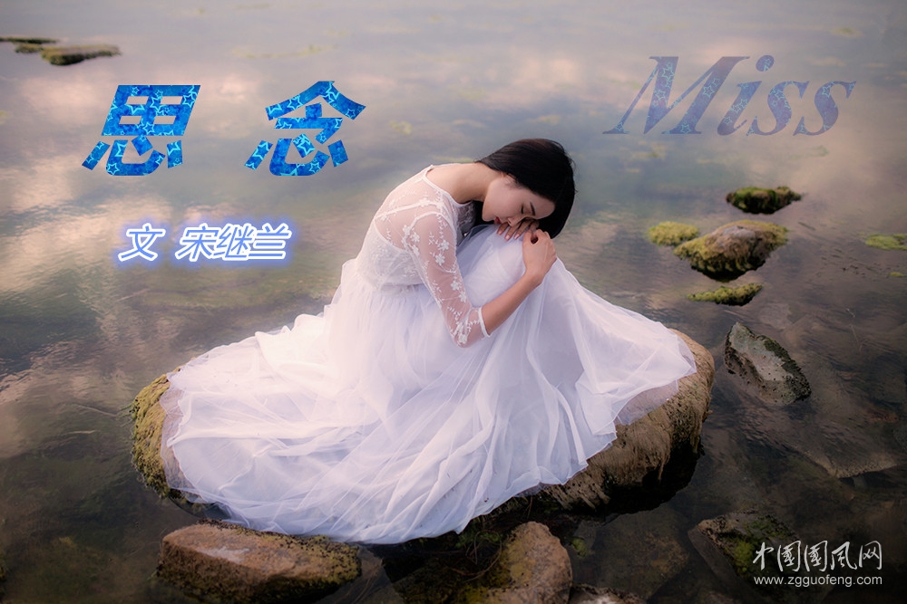 思    念（文  宋繼蘭）