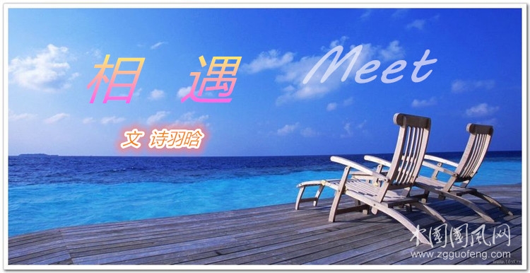 相遇（文  詩羽晗）