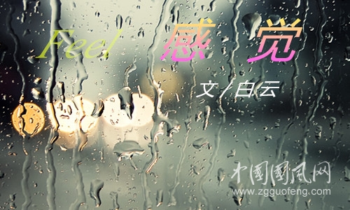 感  覺（外一首）（文 /白 云）