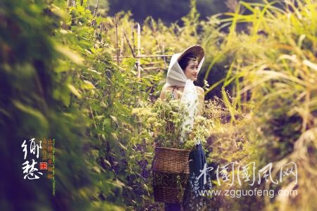 《鄉(xiāng)愁》  文/青春鳥