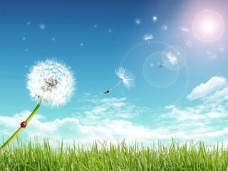 曾經(jīng)的我們