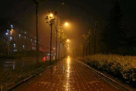 雨夜暈頭書