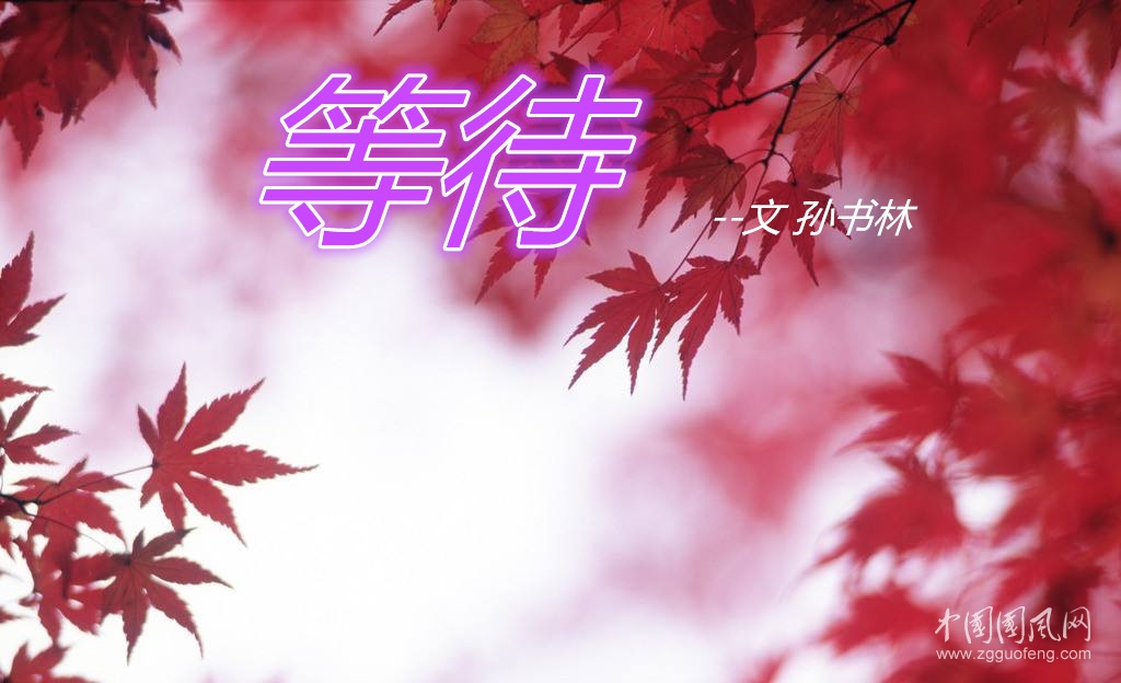 等待（文  孫書林）
