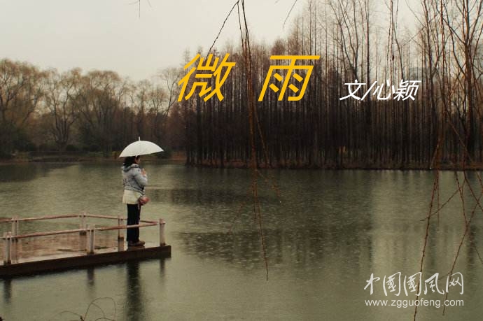  微雨（文/心穎）