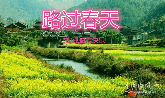 路過春天（文/孤獨與快樂）