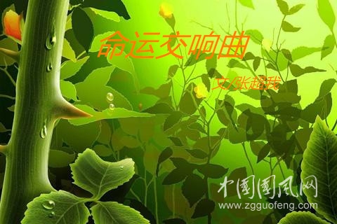  命運(yùn)交響曲（文/張超我）