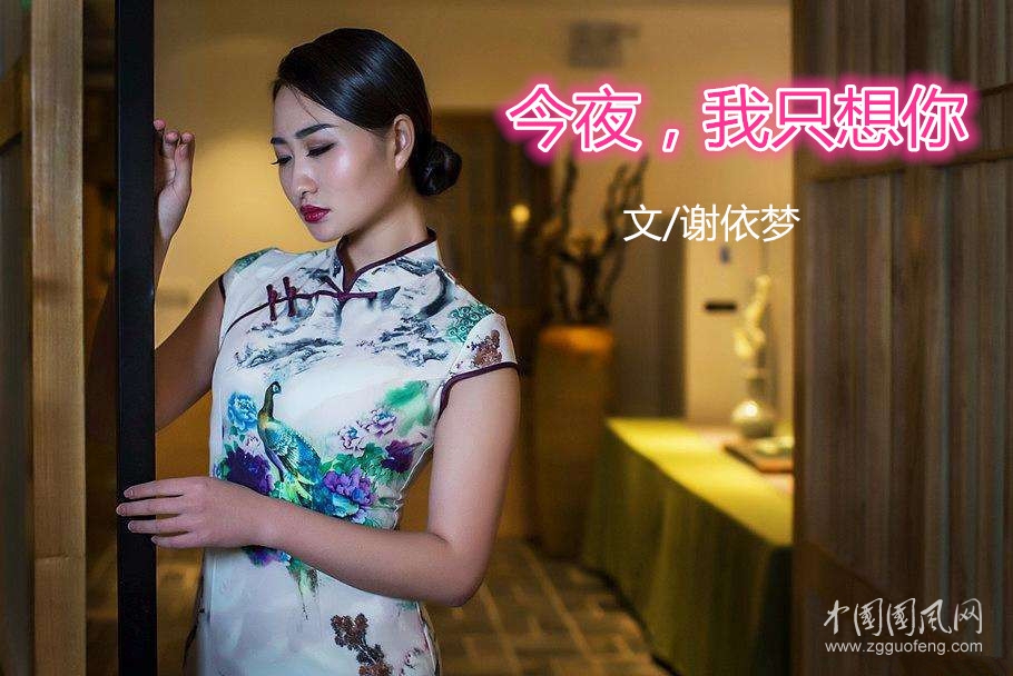  今夜，我只想你（文/謝依夢(mèng)）