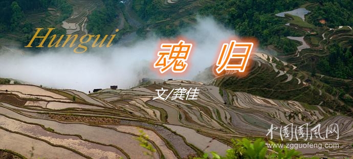 魂   歸（文/龔佳）