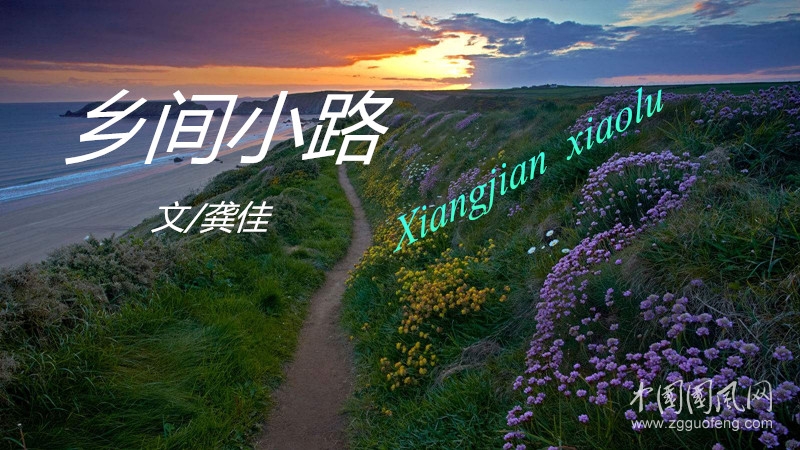 鄉(xiāng)間小路.jpg