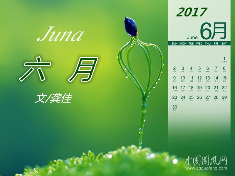 六  月（文/龔佳）