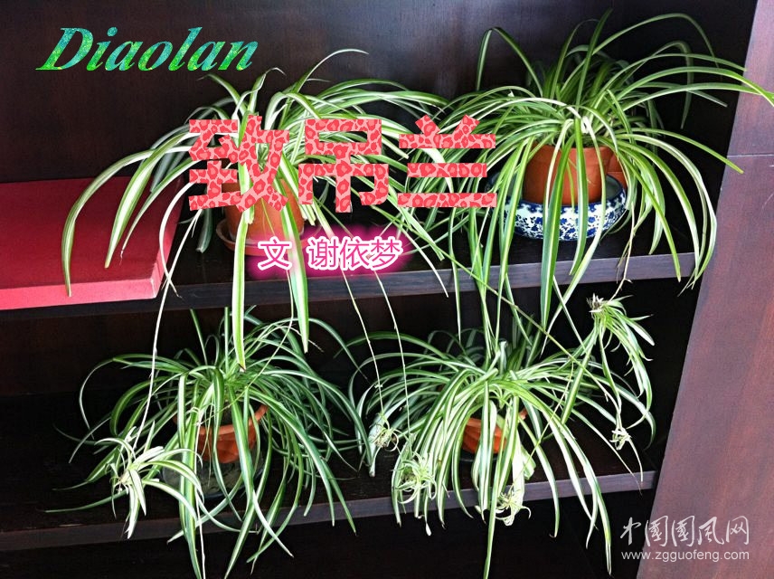 37d3d539b6003af361cae9c6342ac65c1038b627.jpg