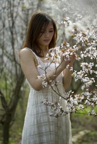 梨樹下的女孩