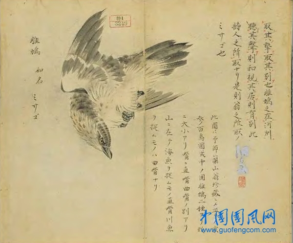 _ShiJing_雎鳩2.jpg