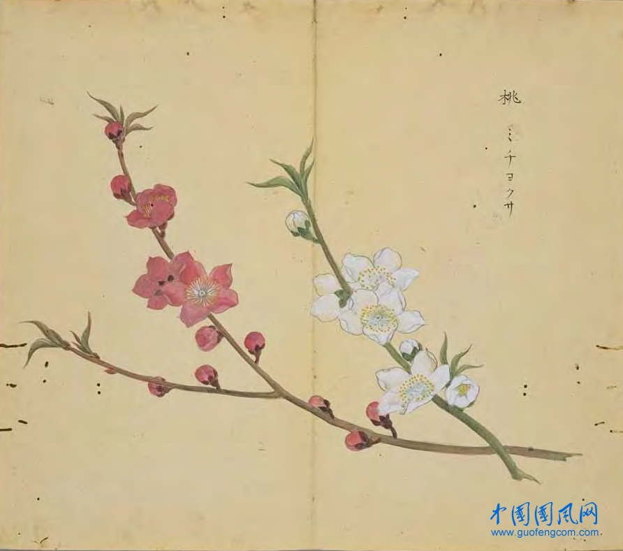 _ShiJing_桃.jpg