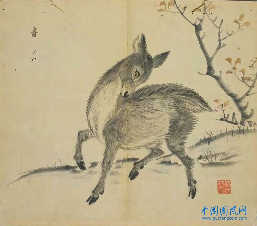 _ShiJing_麕.jpg