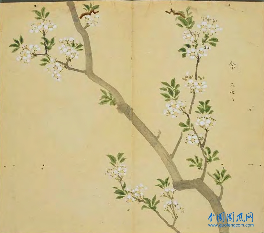 _ShiJing_李.jpg