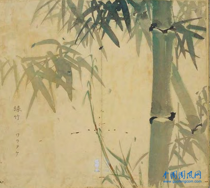 _ShiJing_綠竹.jpg