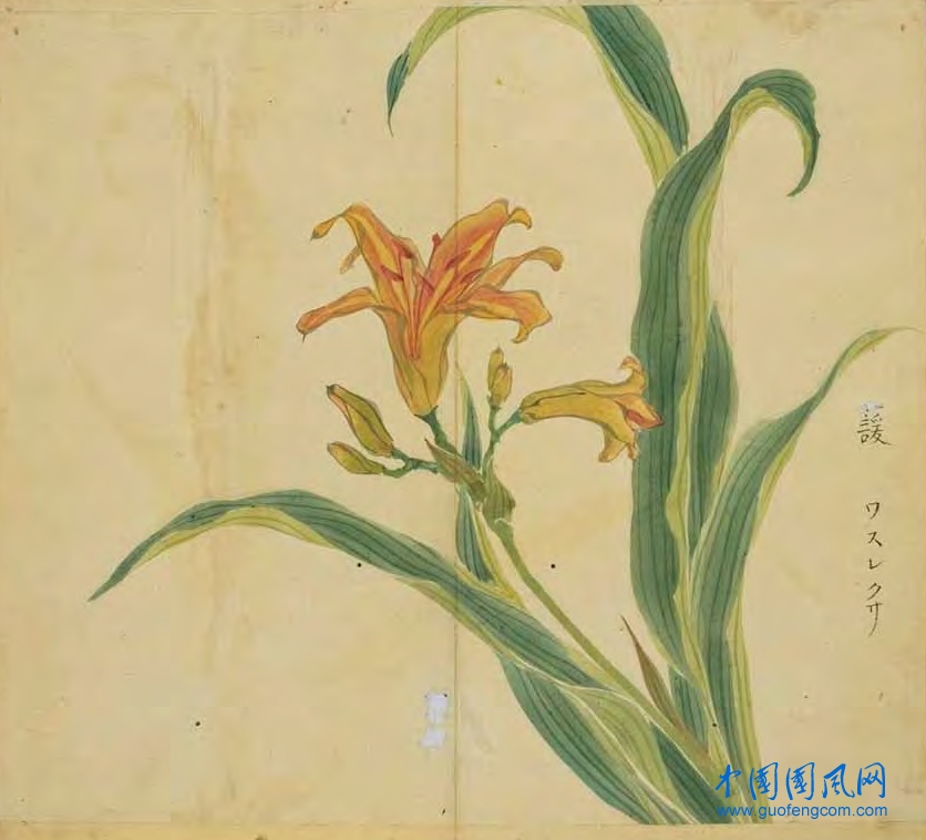 _ShiJing_諼.jpg
