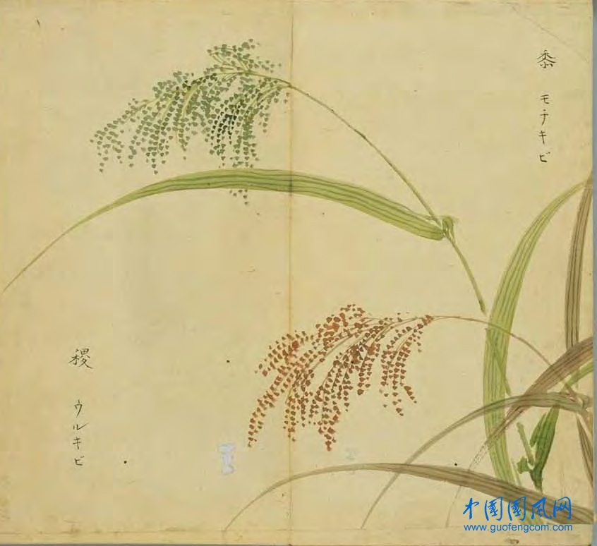 _ShiJing_黍 稷.jpg