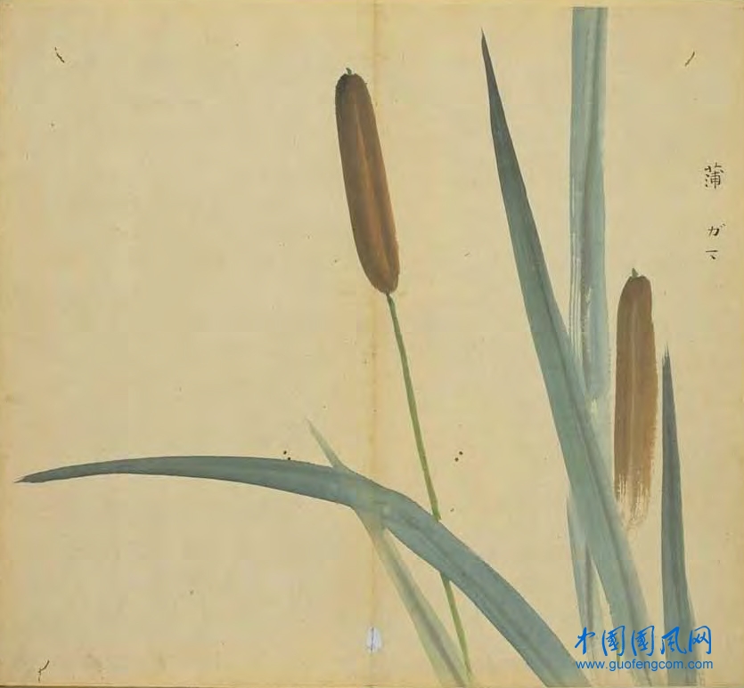 _ShiJing_蒲.jpg
