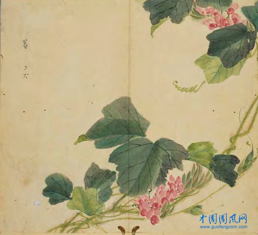_ShiJing_葛.jpg
