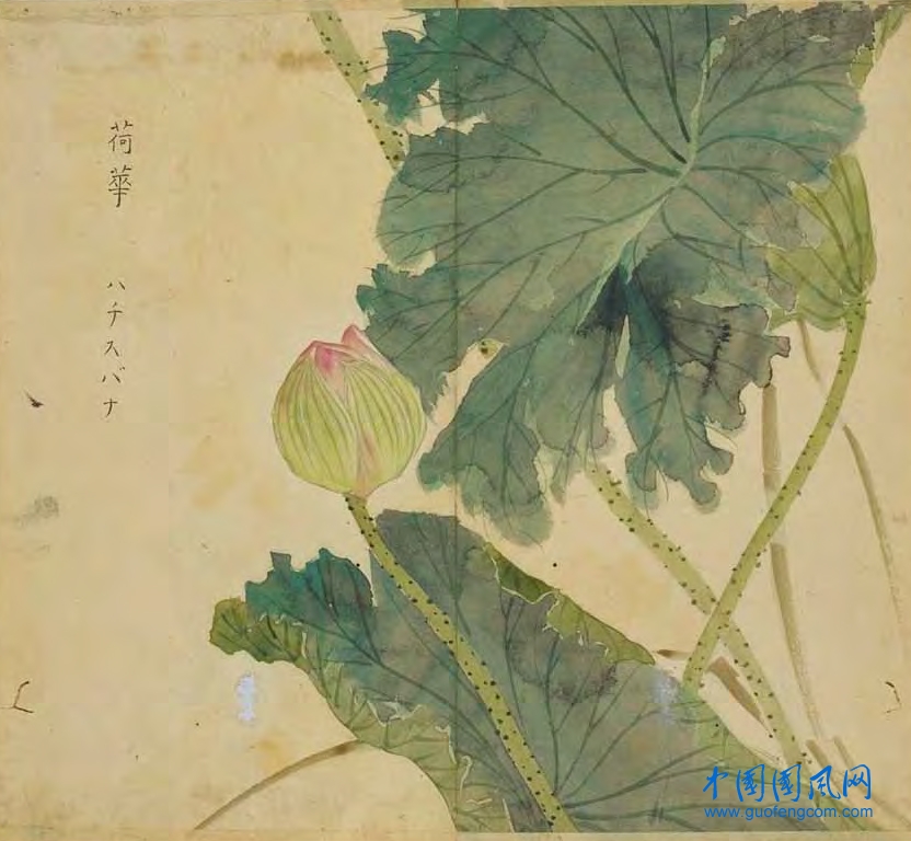 _ShiJing_杞.jpg