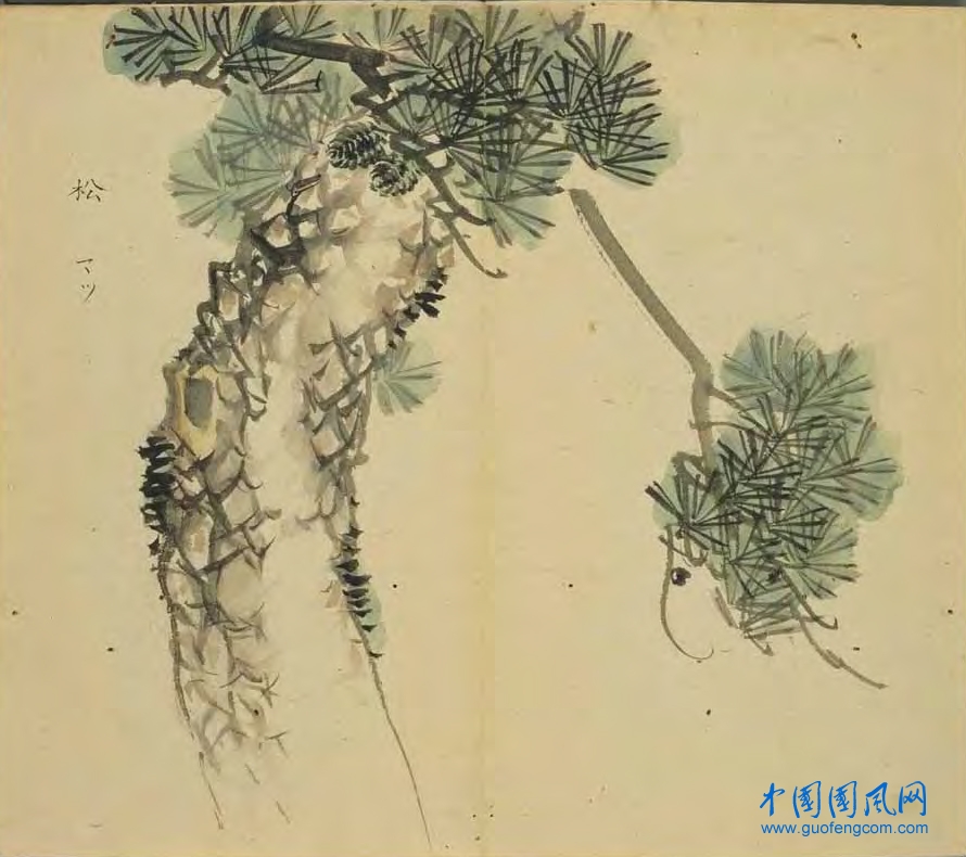 _ShiJing_松.jpg