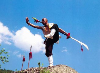中國(guó)傳統(tǒng)武功介紹