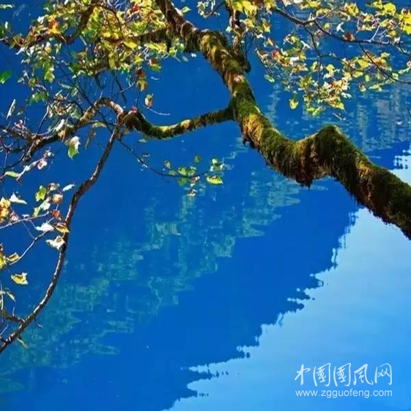境隨心轉(zhuǎn)之10句寬心話