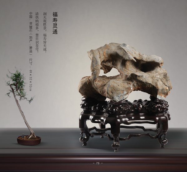 圖片6.png