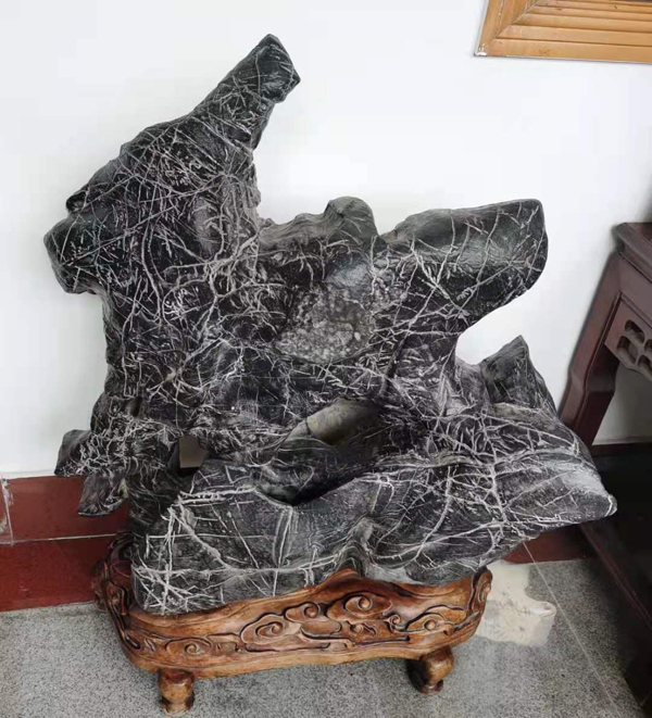 虎去兔來(lái).jpg