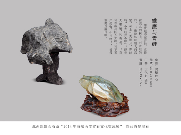 雛鷹與青蛙.jpg