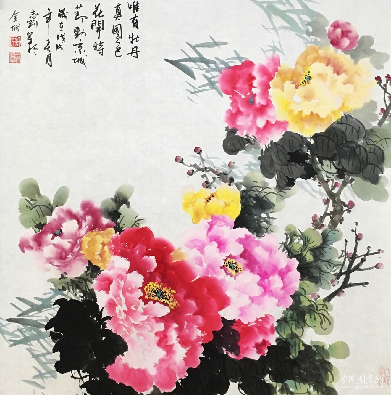 QQ圖片20180411200642.jpg