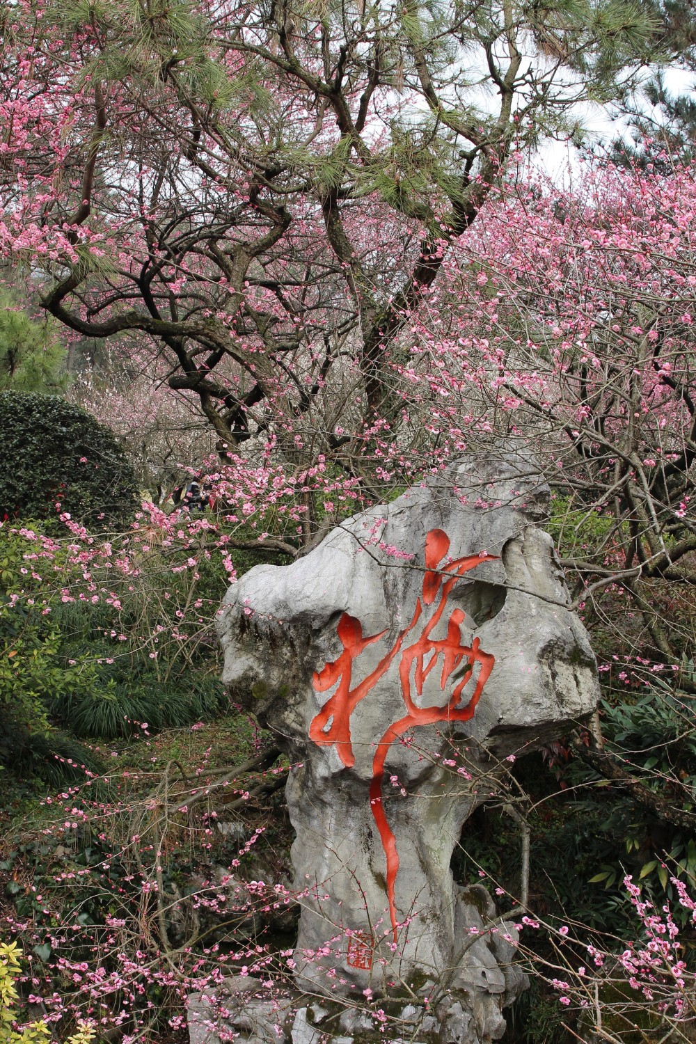 “奇峰云瀑·中國(guó)福山羊獅慕”全國(guó)攝影大展