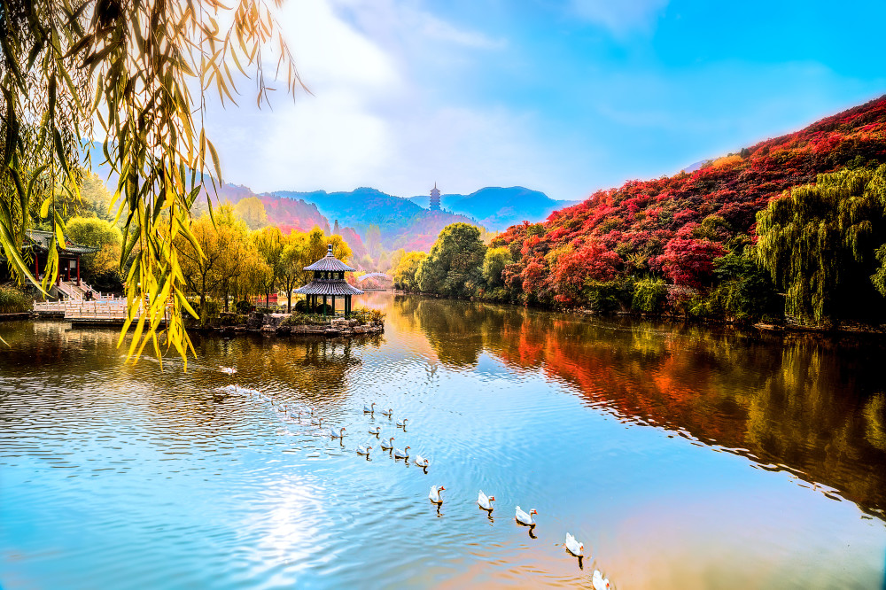 “沃”愛旅行