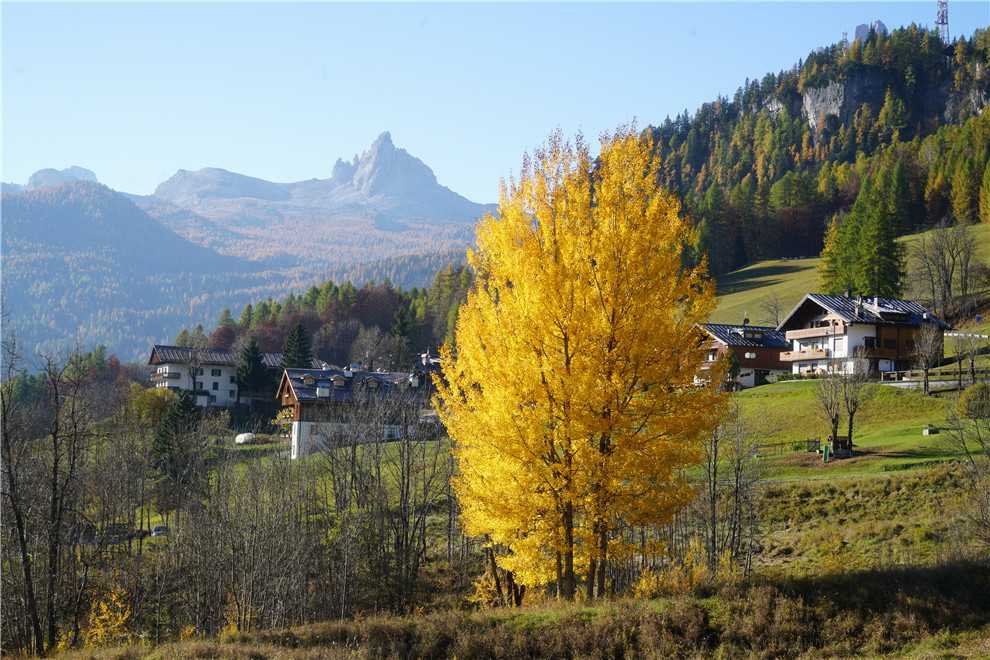90.jpg